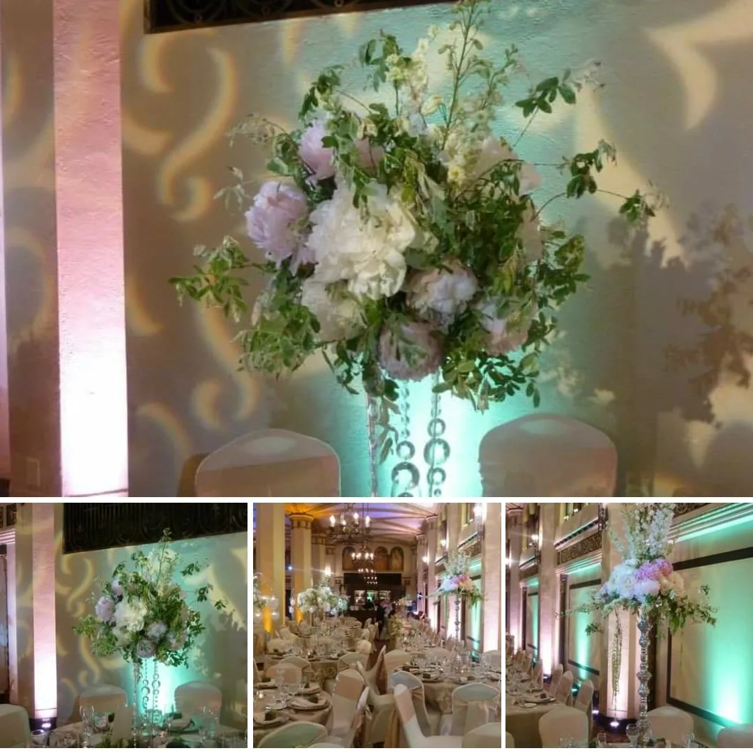 Event lighting by Duluth Event Lighting. up lighting in peach and mint green with pin spots on the flowers.