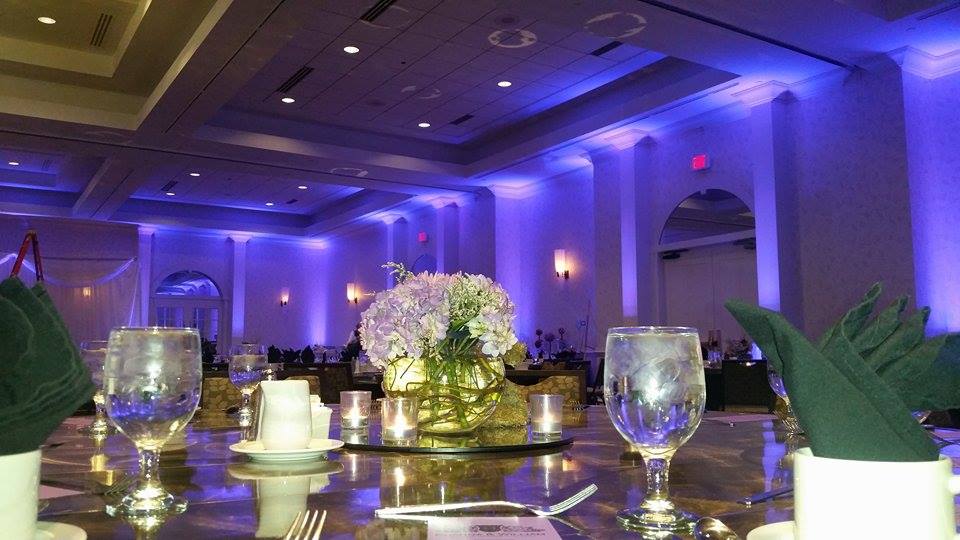 Wedding lighting at the Hilton, Mall of America / Airport. Up lighting in purple.