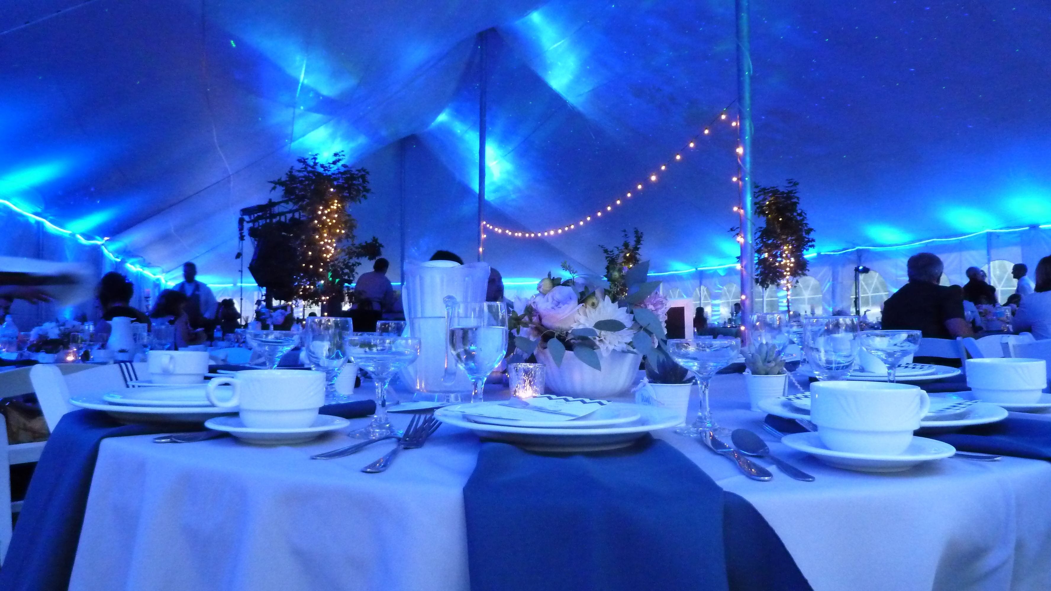 Tent wedding lighting. Up lighting in blue with stars and Northern Lights dancing on the ceiling.