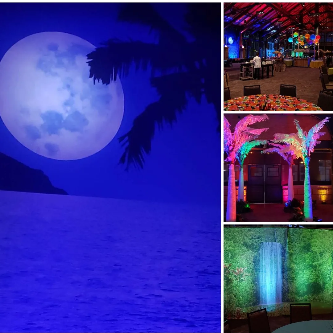 Fun lighting of a tropical themed party by Duluth Event Lighting.