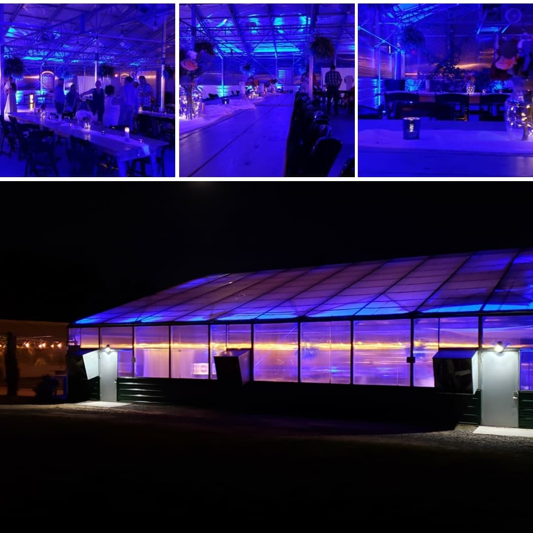 The Atrium wedding lighting with blue up lighting by Duluth Event Lighting.